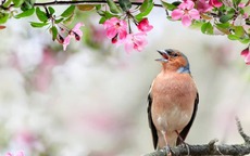 Sinh đúng ngày, số mệnh đổi khác: Ngày sinh Âm lịch của người bản lĩnh, vững vàng trước nghịch cảnh