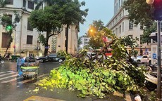 Mưa dông lớn bất ngờ quật đổ nhiều cây xanh, xe máy trên đường phố Hà Nội