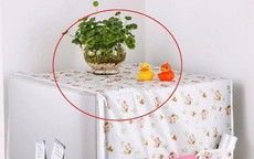 Trên nóc tủ lạnh không nên để các đồ vật này nếu không muốn tiền bạc tiêu tan, gia đạo khó yên