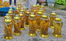Cận cảnh 142 lít rượu sâm không rõ nguồn gốc vừa được tiêu hủy