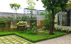 Những dấu hiệu chứng tỏ nhà bạn có nhiều phúc khí, tài lộc