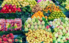 Một loại quả của Trung Quốc được người tiêu dùng Việt không tiếc tiền mua dù giá đắt đỏ