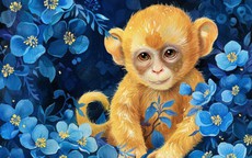 Lận đận nửa đời người, 4 con giáp đổi vận sau tuổi 40 khiến ai cũng trầm trồ