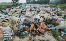 Rác thải phơi nắng, chờ ngày xử lý, đe dọa sức khỏe người dân tại một số xã, phường ở Ninh Bình