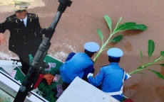 Chuyện về người vợ có chồng liệt sĩ 'nằm lại giữa trùng khơi'
