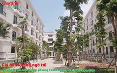 Giá bán không ngờ tới của những căn biệt thự tại phường Thanh Xuân, Hà Nội sau sáp nhập