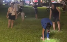 Du khách nước ngoài đánh rơi nhẫn quý, người dân Huế vạch cỏ tìm giúp