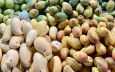 Tiểu thương tiết lộ về nguồn gốc của loại xoài vàng ươm, thơm nức đang bán đầy chợ Việt