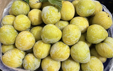Thêm một loại quả Trung Quốc đổ bộ chợ Việt, giá 450.000 đồng/kg vẫn ‘cháy hàng’