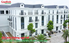 Giá bán không ngờ tới loạt biệt thự tại phường Long Biên, Hà Nội sau sáp nhập