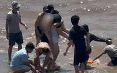 Ninh Bình: Cứu thành công 5 du khách đuối nước ở khu vực nhà thờ đổ Hải Lý