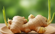 Bình gừng nảy lộc dễ làm nhưng là 'phép màu' phong thủy mang lại may mắn, xua đuổi vận xui cho nhà ở và nơi làm việc