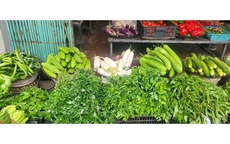 Loại củ ví như ‘nhân sâm mùa thu’ vào chính vụ, giá rẻ bèo, giúp thải độc gan, kiểm soát đường huyết