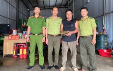 Hi hữu rùa núi vàng quý hiếm bò 'lạc' vào nhà dân ở Hà Tĩnh