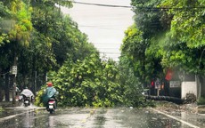 Bão số 5 áp sát đất liền, sức gió giật cấp 16 gây sóng cao đến 8m