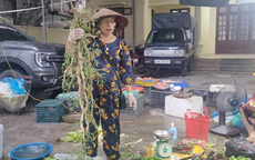 Rau xanh Hà Nội tăng giá gấp đôi vì ảnh hưởng bão số 5