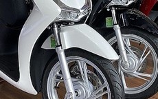 Giá xe SH mới nhất giảm sâu, còn cực rẻ dưới niêm yết, SH 125 ngang xe bình dân, mẫu mã vẫn cực đẹp
