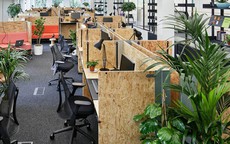 Loài cây hóa giải sát khí trong văn phòng làm việc, giảm stress hiệu quả