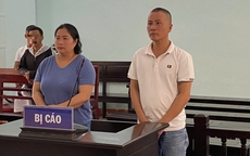 Mở cơ sở massage để làm nơi mua bán dâm