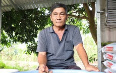 Chi 6 cây vàng mua 2.000 con ba ba, lão nông Cần Thơ đều tay thu bộn tiền