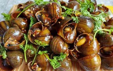 Top món ốc nóng ngon khó cưỡng cho ngày thu se lạnh, ăn một lần là mê tít