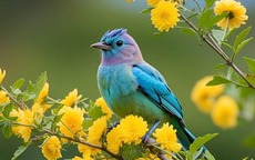 Tháng sinh Âm lịch của người sẽ đổi đời ngoạn mục, càng chăm chỉ càng phát tài