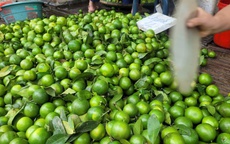 Bão Ragasa vào đất liền: Chi 5.000 đồng, người đi chợ chỉ nhận về 2 quả chanh