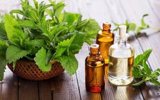 Sử dụng mùi hương trong phong thủy vào các vị trí này trong nhà ở để hút vận khí, tài lộc  