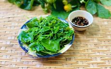 Rau đặc sản mọc tua tủa ở miền Bắc, ăn giòn ngon như ngọn bí, đặc biệt tốt cho người bị mất ngủ