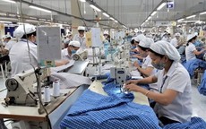 Hà Nội đặt mục tiêu phòng chống lao động cưỡng bức, xóa bỏ lao động trẻ em