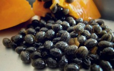 Ăn đu đủ chín đừng vứt hạt: Đây là công dụng tuyệt vời, rất nhiều người chưa biết