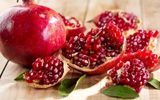 Bài thuốc từ cây và quả lựu