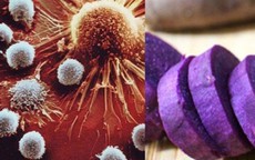 Loại củ được ví như 'thuốc bổ mùa đông', người Việt nên ăn để hỗ trợ ngăn ngừa tế bào ung thư