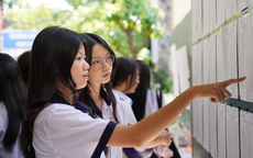 12 trường đại học công bố sử dụng SAT, ACT, IELTS trong tuyển sinh 2026