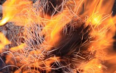 Cháy bát nhang Thần tài điềm lành hay dữ?