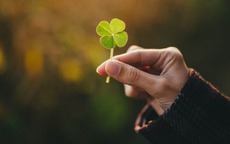 Xem ngay tháng may mắn năm 2026 theo thần số học của bạn