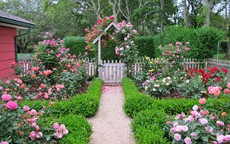 Gợi ý các mẫu trang trí tiểu cảnh sân vườn đón Tết