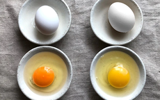 Đập trứng gà lòng đỏ đậm và nhạt khác nhau: Chuyên gia tiết lộ "3 nhớ 2 không" để chọn trứng tốt nhất