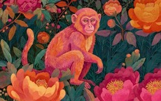 Năm Bính Ngọ 2026: Những con giáp dễ gặp biến động lớn về tiền bạc