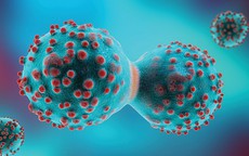 Loại củ ăn mùa đông làm ấm nóng cơ thể, người Việt nên ăn để ngăn ngừa tế bào ung thư