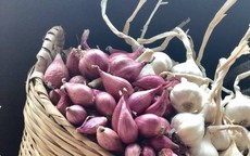 Cách chọn mua và giữ hành, tỏi khô không mốc hiệu quả, đơn giản