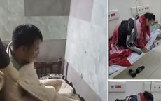 Lào Cai: Một xã có ba người nghi bị chó dại cắn, một trường hợp đã tử vong