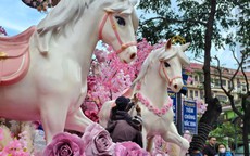 Cận cảnh cặp linh vật ngựa hồng gây sốt ở Nha Trang