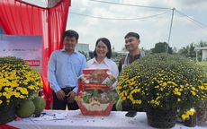 Nữ bí thư xã cùng TikToker livestream bán cúc mâm xôi nở sớm cho nhà vườn