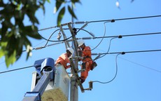 Lịch cúp điện Tây Ninh từ ngày 19 - 25/1/2026: Nhiều công ty và khu dân cư nằm trong diện cúp điện cả ngày