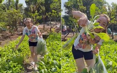 Khu vườn xanh mướt mắt nhà Chi Bảo và vợ trẻ khiến nhiều người ao ước