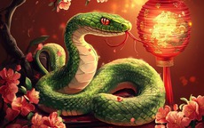 Có quý nhân 'chống lưng', 3 con giáp gặp hung hóa cát, bước qua năm Bính Ngọ nhẹ tênh