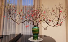 Bình hoa dáng chuông: Hòa quyện nghệ thuật và phong thủy cho mùa Tết