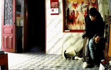 Bắc Ninh: Xôn xao cảnh người phụ nữ bế con nhỏ và thai phụ bị người nhà hành hung nhập viện