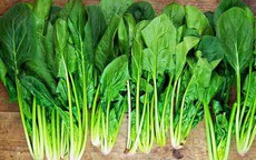 5 loại rau mùa đông giàu chất xơ tốt cho tiêu hóa